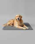 Self-Cooling Gel Pet Mat with a dog lying on it
