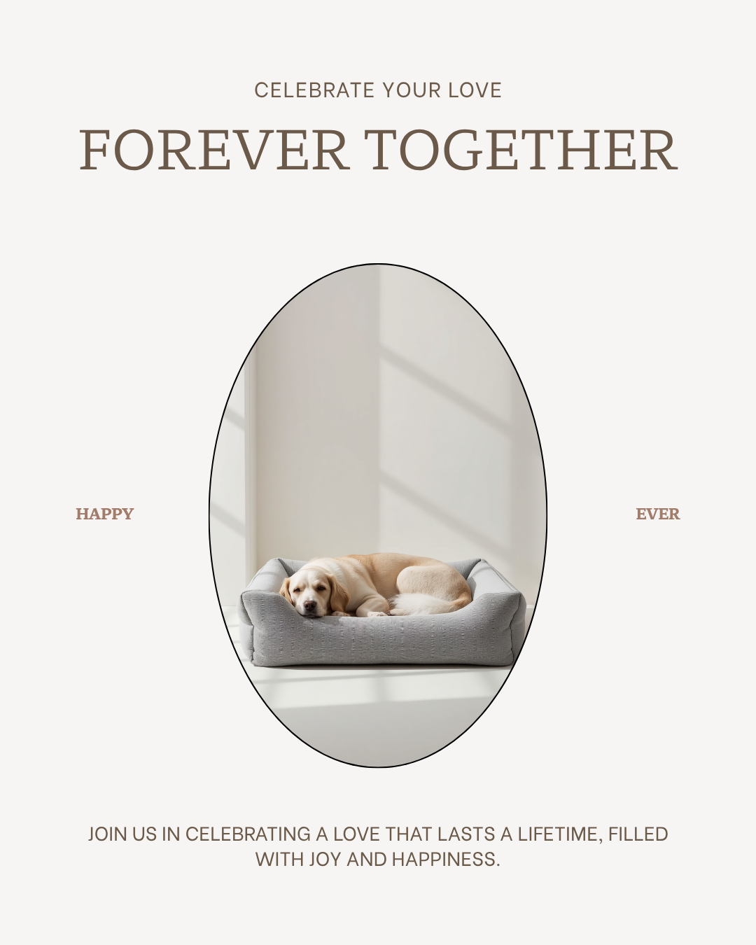 Orthopedic Memory Foam Pet Bed with a dog resting on it