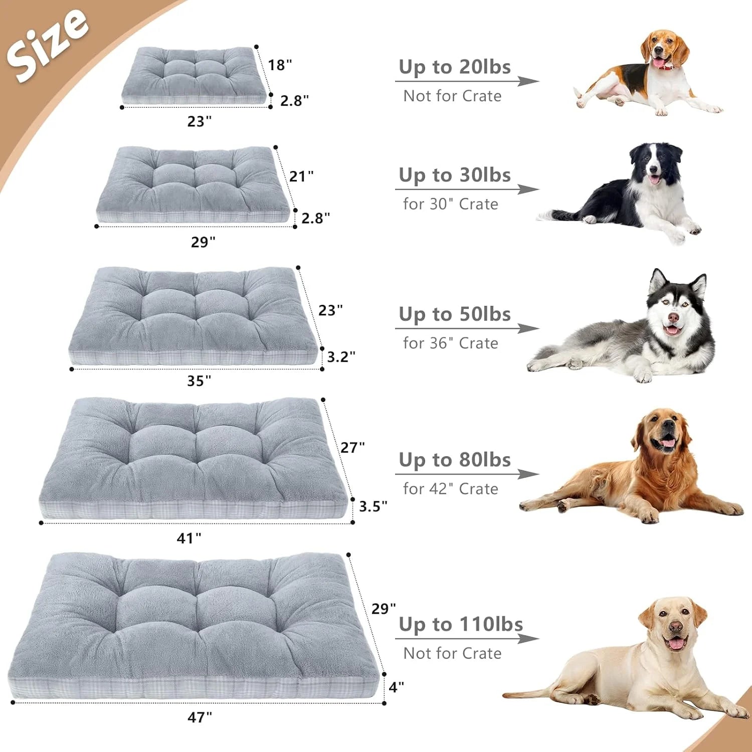 Washable Orthopedic Foam Dog Bed, size comparison chart