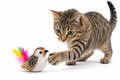 Flapping bird electronic interactive cat toy