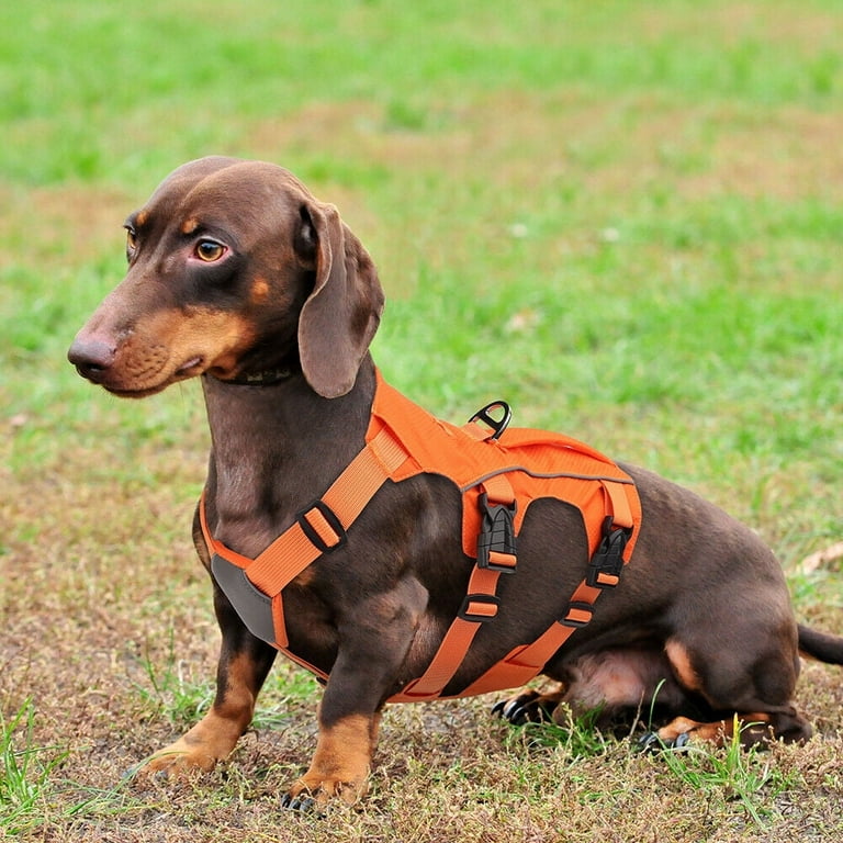 No Pull Reflective Adjustable Dog Harness with Handle