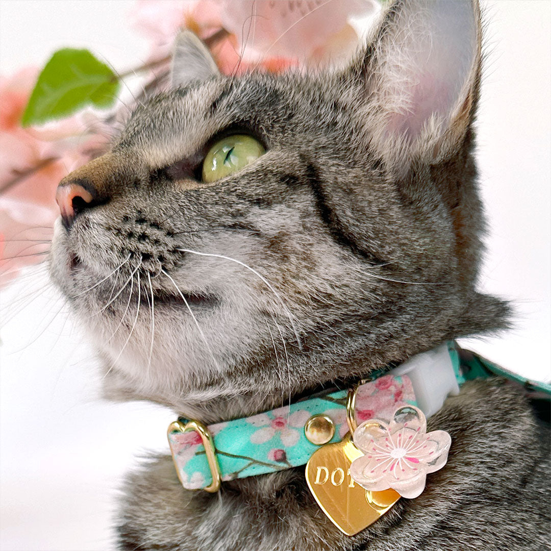Personalized Pet ID Tag Charm Custom Name and Phone Engraved