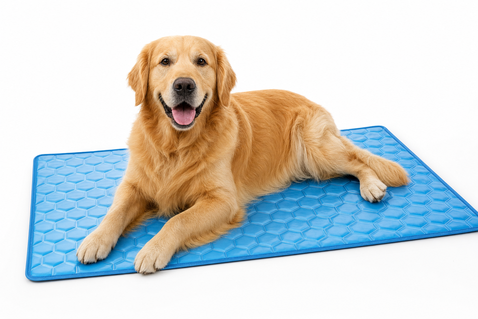 Pet cooling gel mat for dogs and cats